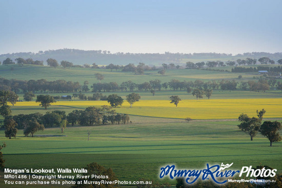 Morgan's Lookout, Walla Walla