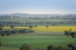 Morgan's Lookout, Walla Walla