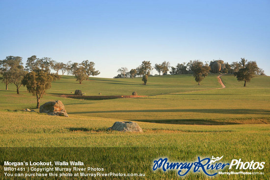 Morgan's Lookout, Walla Walla