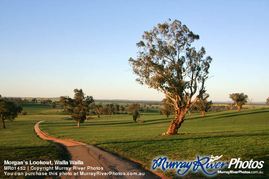 Morgan's Lookout, Walla Walla