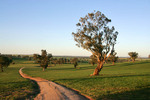 Morgan's Lookout, Walla Walla