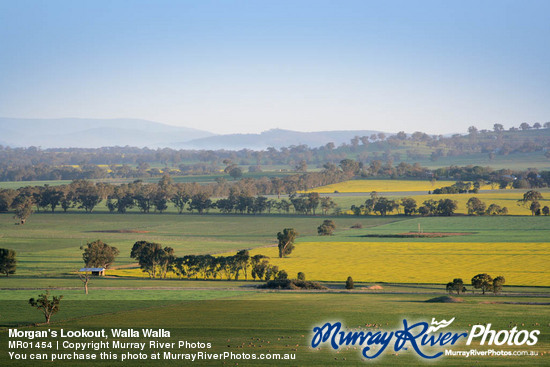 Morgan's Lookout, Walla Walla