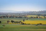 Morgan's Lookout, Walla Walla