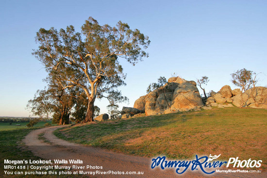 Morgan's Lookout, Walla Walla