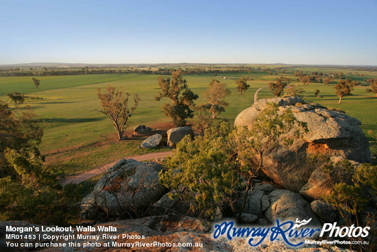 Morgan's Lookout, Walla Walla