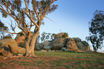 Morgan's Lookout, Walla Walla