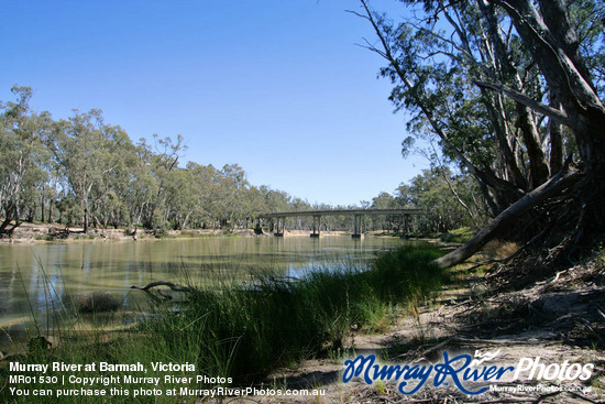 Murray River at Barmah, Victoria