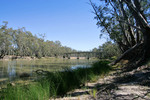 Murray River at Barmah, Victoria