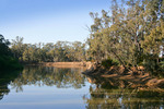 Murray River at Barham, New South Wales