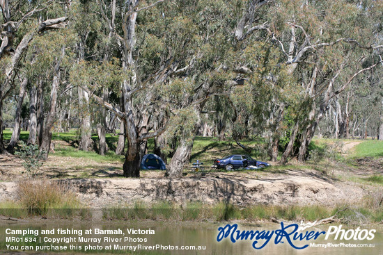 Camping and fishing at Barmah, Victoria