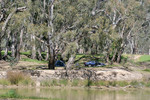 Camping and fishing at Barmah, Victoria