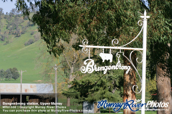 Bungenbrong station, Upper Murray