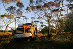 Old truck near Berri, South Australia