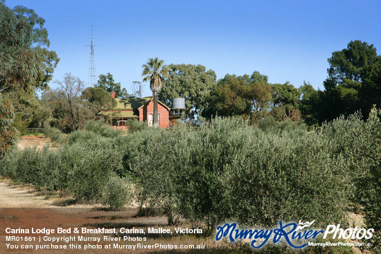 Carina Lodge Bed & Breakfast, Carina, Mallee, Victoria