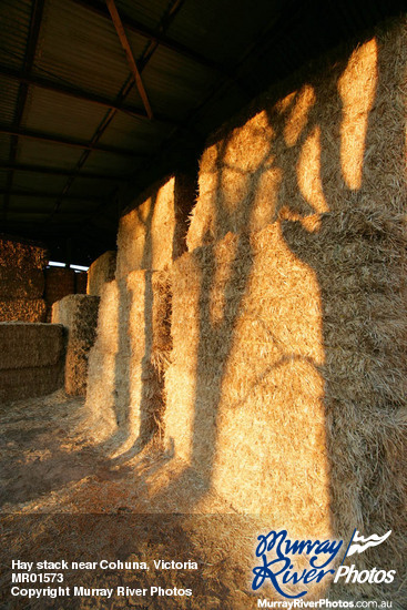Hay stack near Cohuna, Victoria