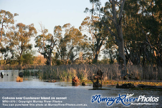 Cohuna near Gunbower Island on sunset