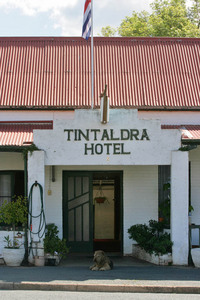 Dog resting at the Tintaldra Hotel, Victoria