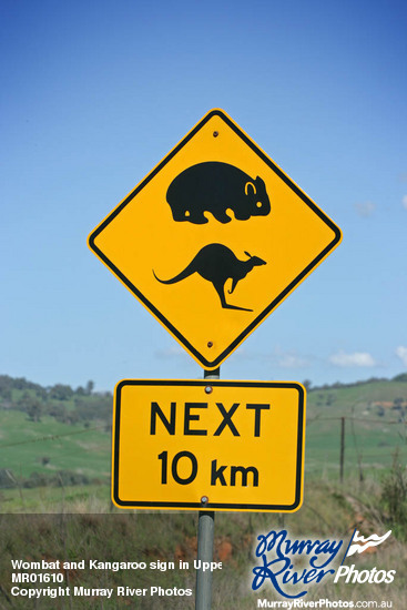 Wombat and Kangaroo sign in Upper Murray