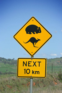 Wombat and Kangaroo sign in Upper Murray