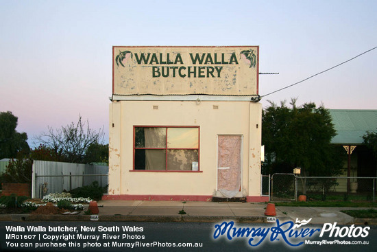 Walla Walla butcher, New South Wales