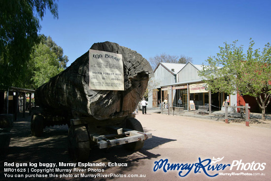 Red gum log buggy, Murray Esplanade, Echuca