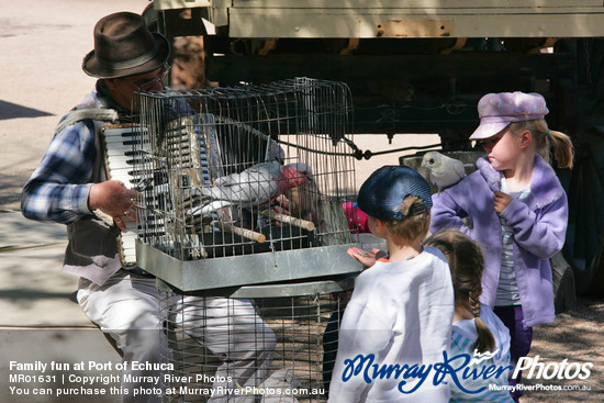 Family fun at Port of Echuca