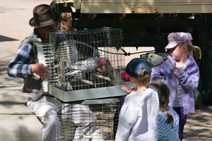 Family fun at Port of Echuca