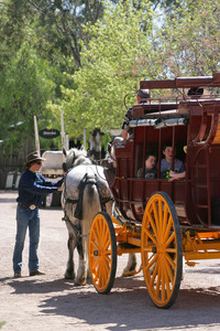 Carrage rides along Murray Esplande, Port of Echuca