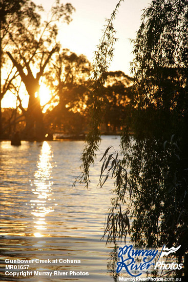 Gunbower Creek at Cohuna