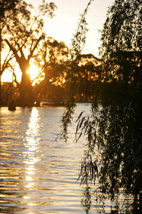 Gunbower Creek at Cohuna