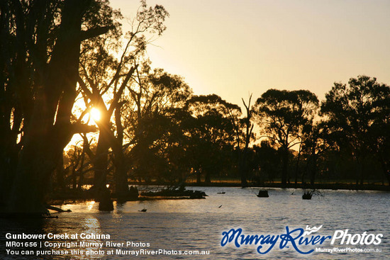 Gunbower Creek at Cohuna