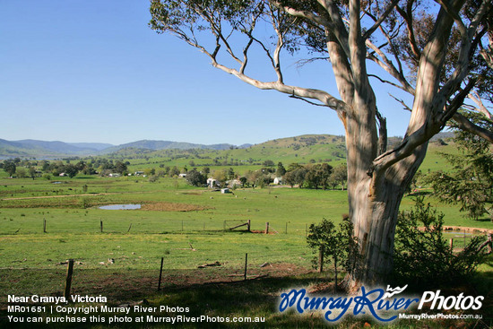 Near Granya, Victoria