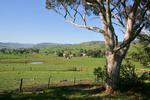 Near Granya, Victoria