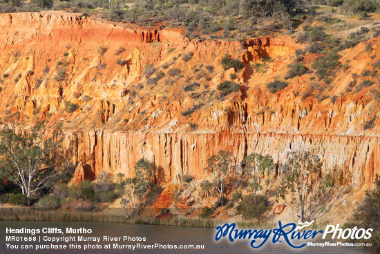 Headings Cliffs, Murtho