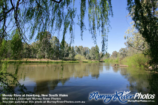 Murray River at Howlong, New South Wales
