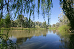 Murray River at Howlong, New South Wales