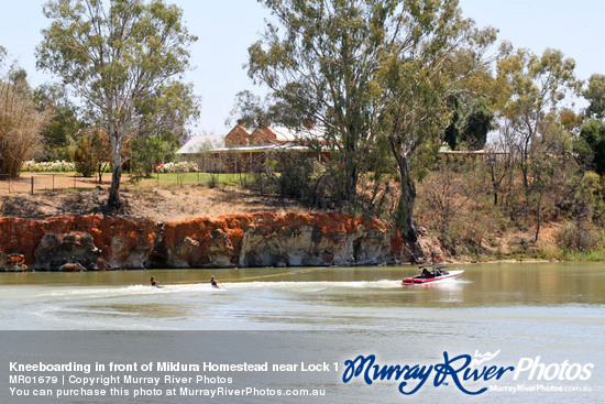 Kneeboarding in front of Mildura Homestead near Lock 11