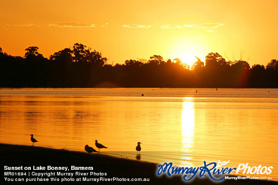 Sunset on Lake Bonney, Barmera