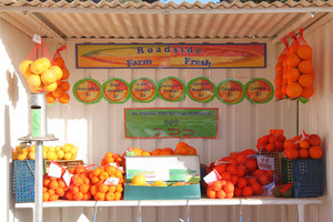 Roadside fruit stall