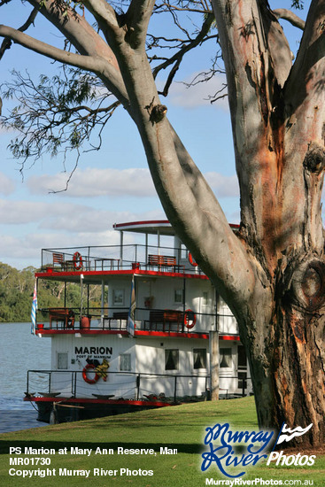 PS Marion at Mary Ann Reserve, Mannum