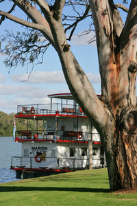 PS Marion at Mary Ann Reserve, Mannum