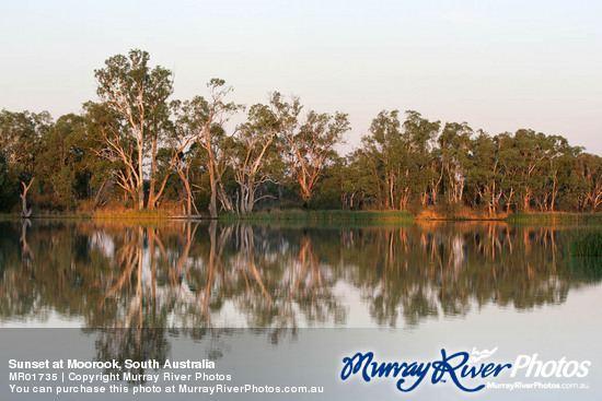 Sunset at Moorook, South Australia