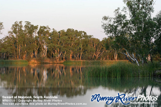 Sunset at Moorook, South Australia