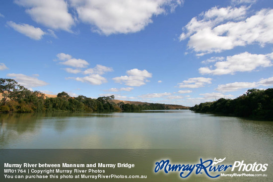 Murray River between Mannum and Murray Bridge