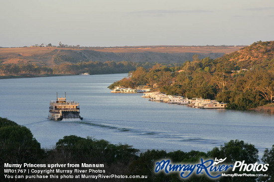 Murray Princess upriver from Mannum