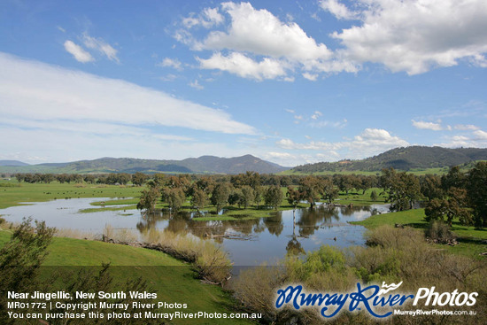 Near Jingellic, New South Wales