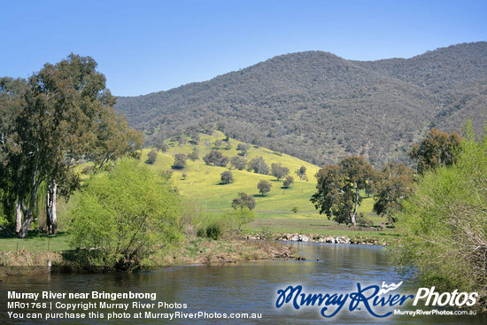 Murray River near Bringenbrong