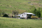 Near Jingellic, New South Wales