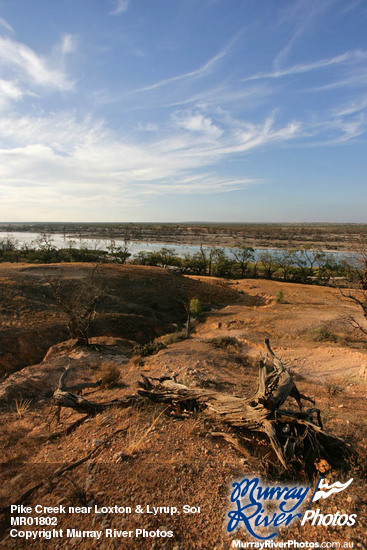Pike Creek near Loxton & Lyrup, South Australia