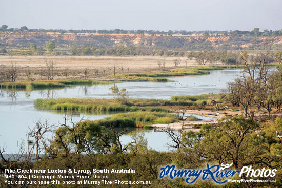 Pike Creek near Loxton & Lyrup, South Australia